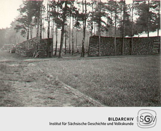 Holzkohlenherstellung in Rietschen, Aufbau eines Meilers