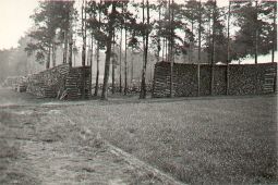 Bild: Holzkohlenherstellung in Rietschen, Aufbau eines Meilers