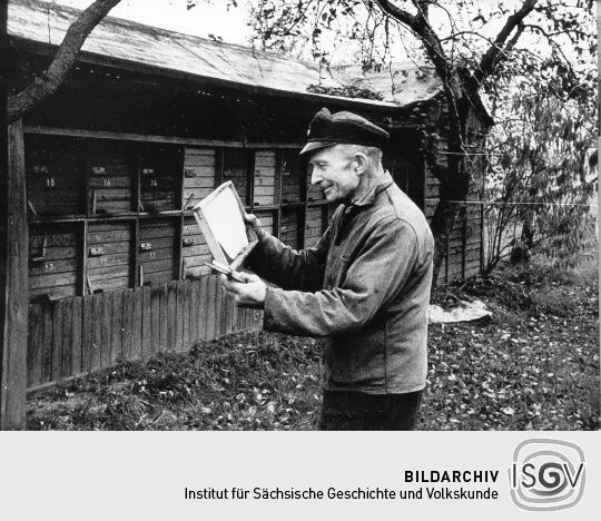 Bienenzucht in Mühlrose