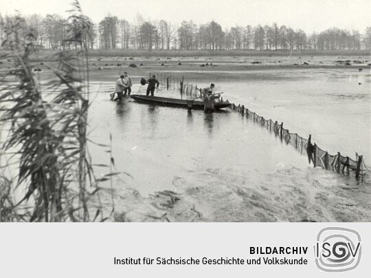 Fischfang in Königswartha