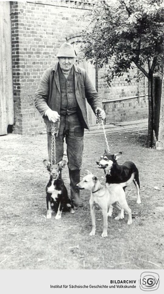 Wachhunde in Groß Partwitz