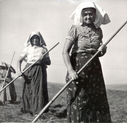 Bild: Frauen in Volkstracht in Panschwitz-Kuckau