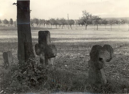 Steinkreuze an der Straße zwischen Luga und Quoos