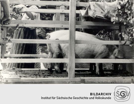 Schul- und Heimatfest in Ostro