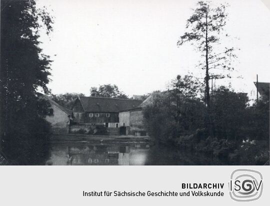 Dorfteich in Teichnitz