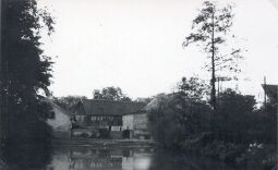 Bild: Dorfteich in Teichnitz