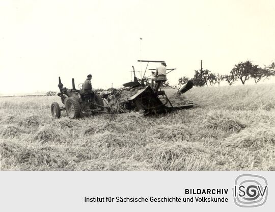 Feldarbeit bei Bolbritz