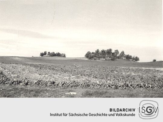 Landschaft an der Autobahn bei Burk