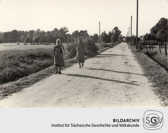 Auf dem Wege zur Heuernte in Jetscheba