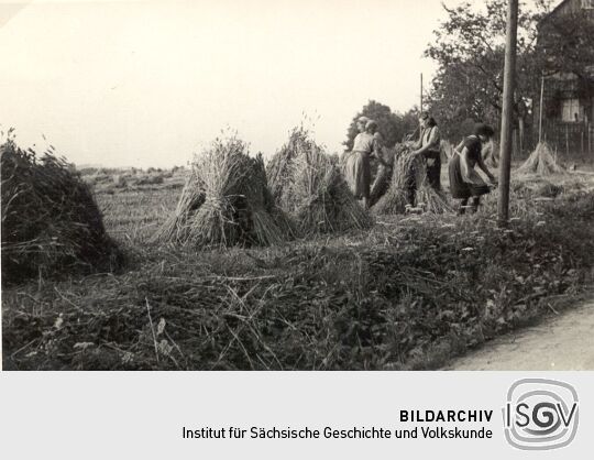 Erntearbeiten bei Brösang