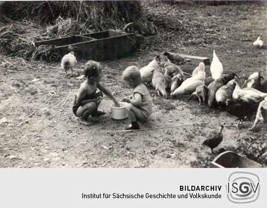 Hühnerfütterung in Neudrauschkowitz