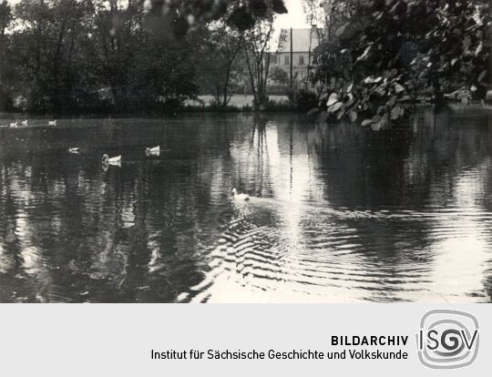 Teich in Ziegendorf