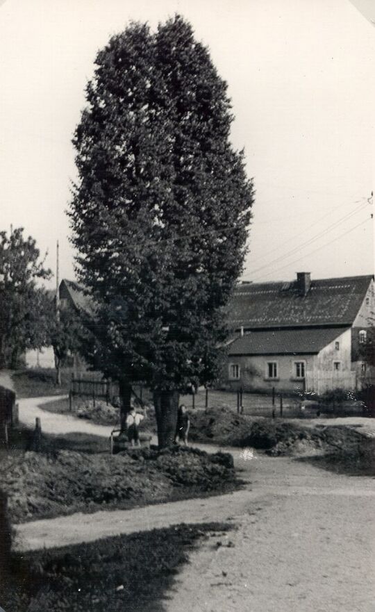 Dorfansicht in Weißnaußlitz