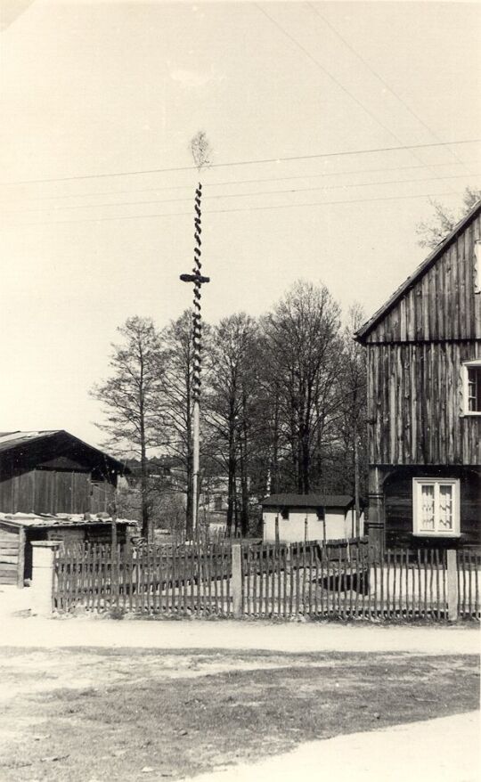 Maibaum am Jugendheim in Halbendorf/ Spree