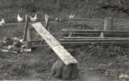 Trocknen von Pilzen in Daranitz