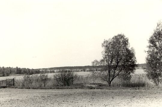 Teich in Kleinsaubernitz