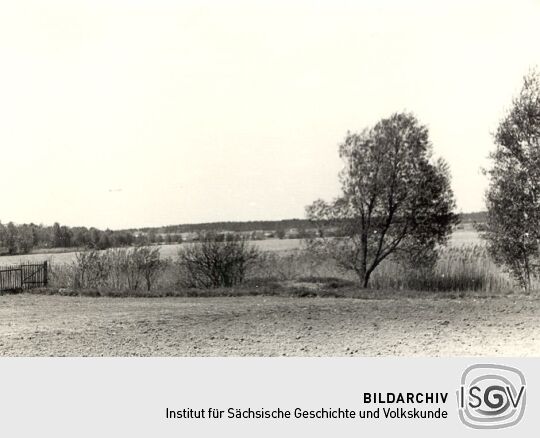 Teich in Kleinsaubernitz