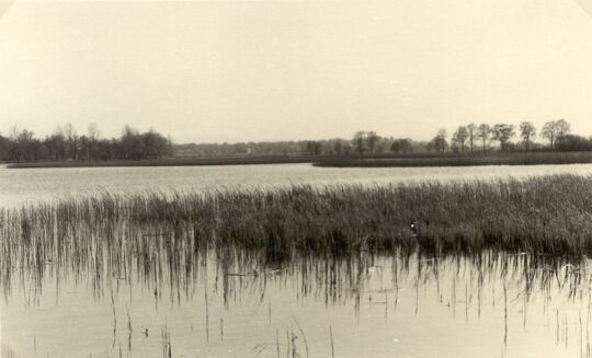 Teichlandschaft bei Lömischau