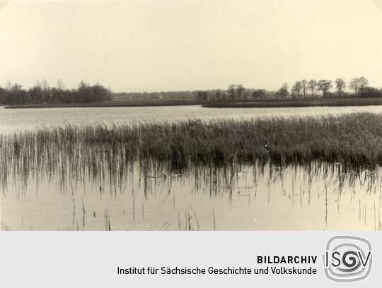 Teichlandschaft bei Lömischau