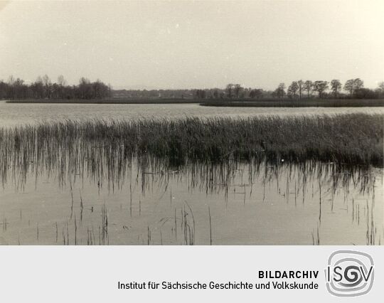 Teichlandschaft bei Lömischau