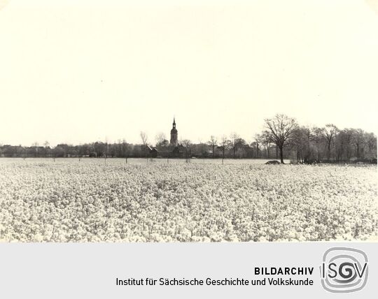 Blick auf Klix