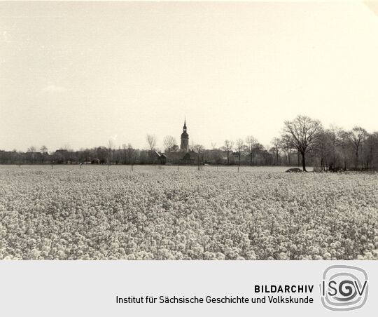 Blick auf Klix