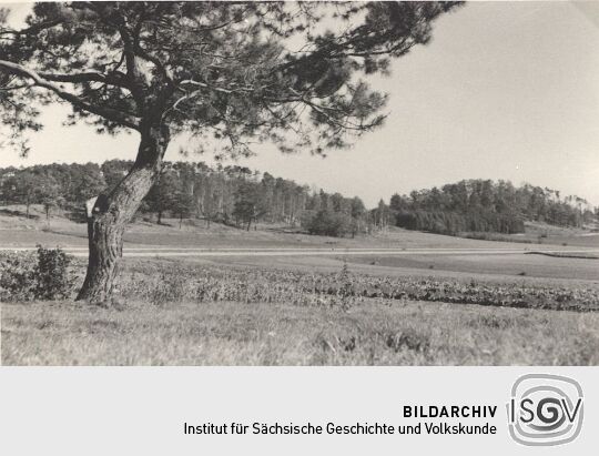 Landschaft an den Kreckwitzer Höhen