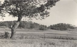 Bild: Landschaft an den Kreckwitzer Höhen