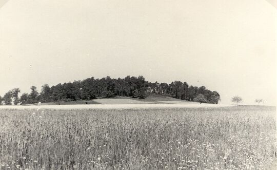 Landschaft bei Luga