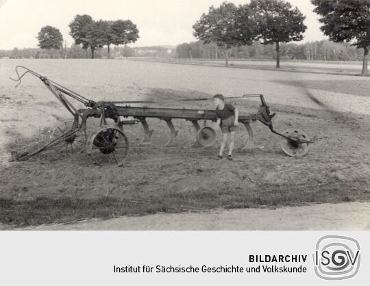 Pflug auf dem Feld  bei Lomske