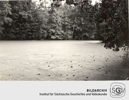 Volkspark in Neschwitz