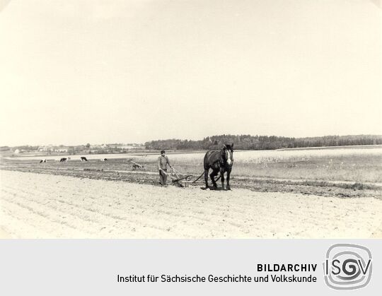 Feldarbeiten zwischen Briesing und Zschillichau