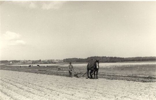 Arbeiten auf dem Felde in Briesing