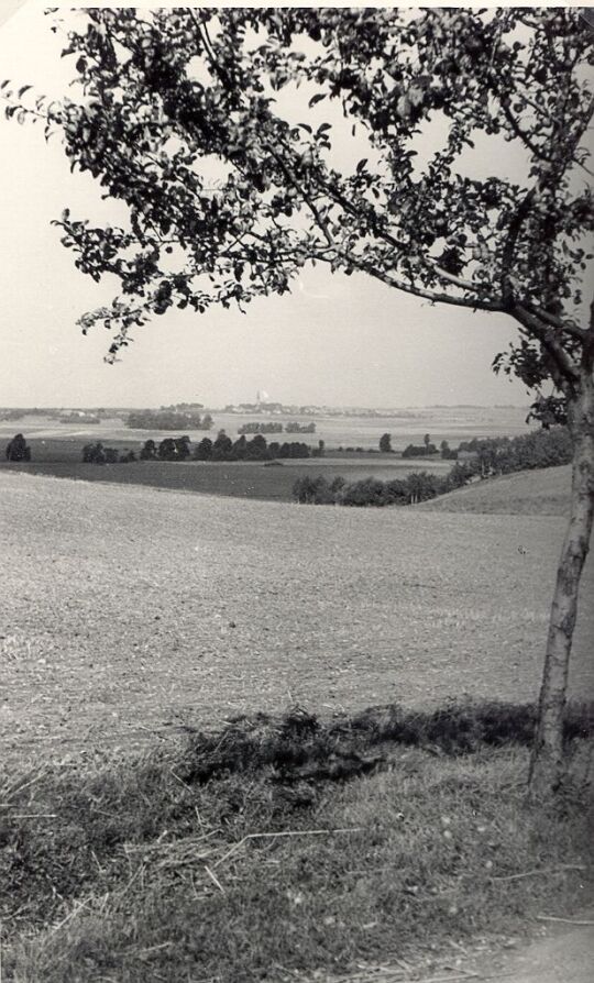 Fernansicht von Niedergurig