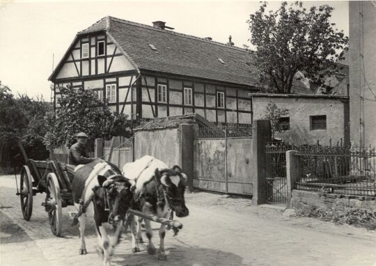 Gespann auf der Straße in Niedergurig