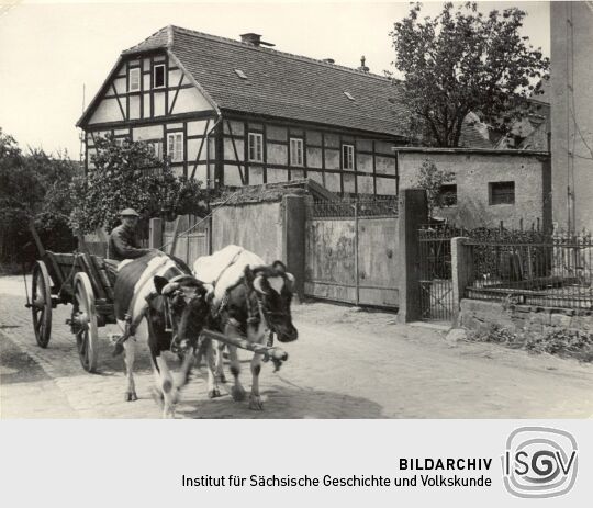 Gespann auf der Straße in Niedergurig