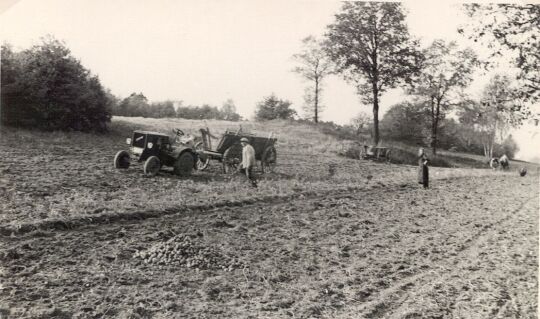 Kartoffelernte in Niedergurig