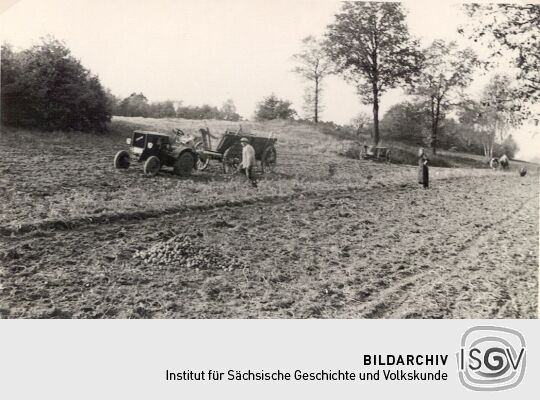 Kartoffelernte in Niedergurig