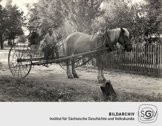 Bespannter Doppelrechen  in Basankwitz