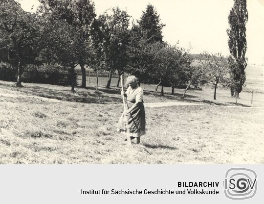 Feld an der roten Schenke in Pielitz