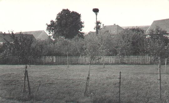 Storchennest in Camina