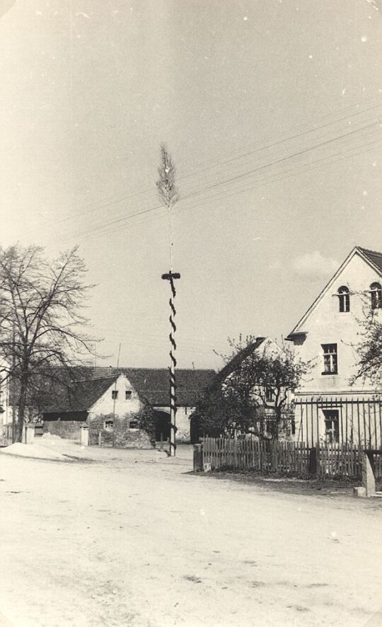 Maibaum in Sdier