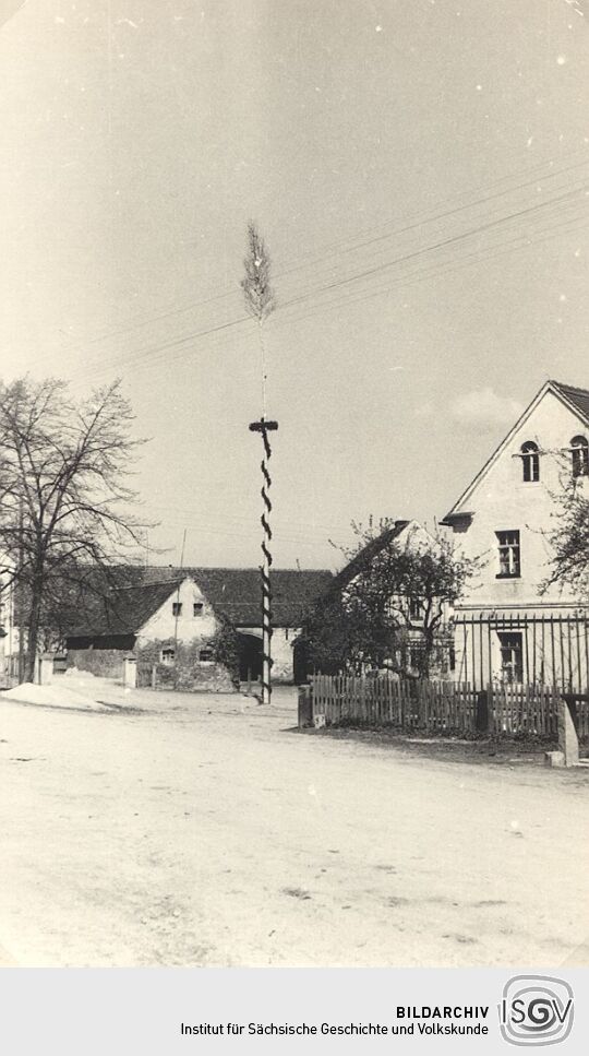 Maibaum in Sdier