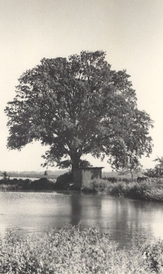 Am Dorfteich in Zschillichau