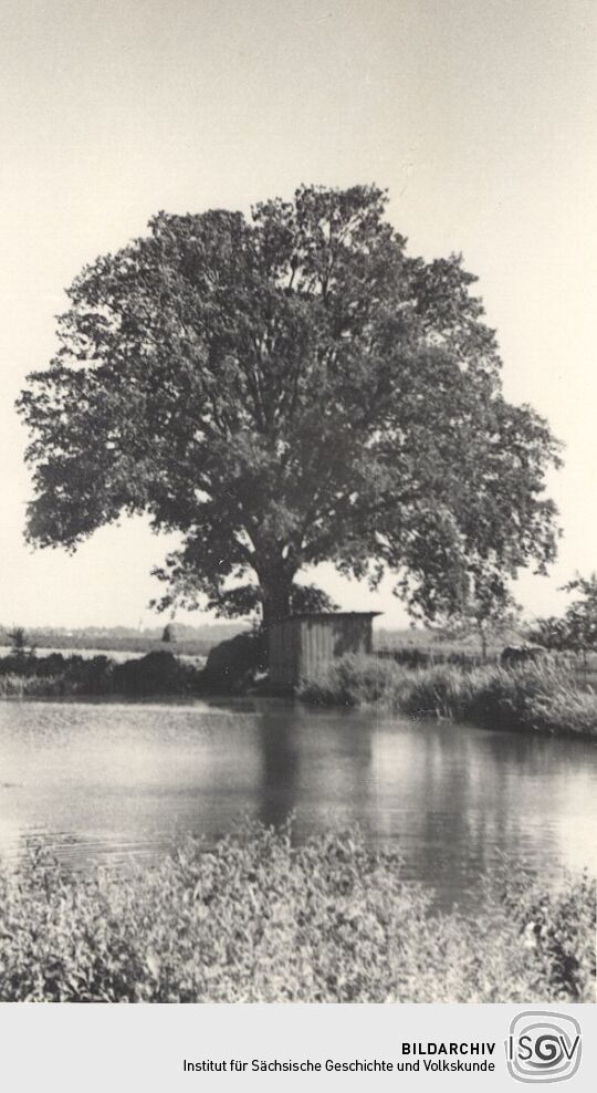 Am Dorfteich in Zschillichau