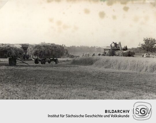 Feldarbeit bei Oppitz