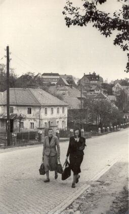 Bild: Blick auf Kuckau