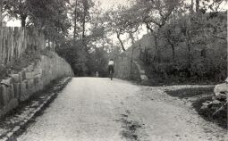 Bild: Straße in Kuckau