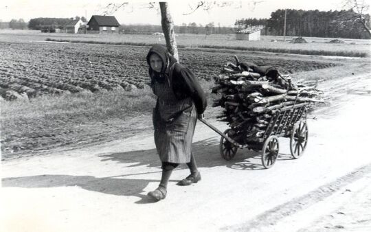 Frau mit Brennholz zwischen Klitten und Zimpel