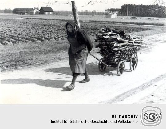 Frau mit Brennholz zwischen Klitten und Zimpel